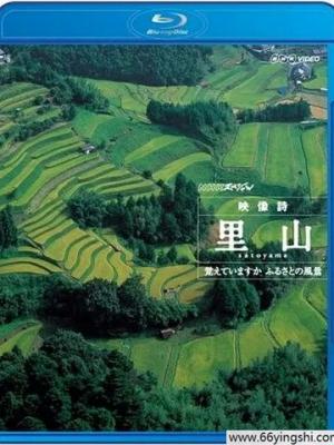 影视作品